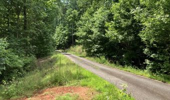 230 Harmony Vly, Alto, GA 30510