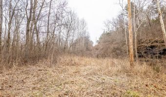 County Road 19-A, Alton, MO 65606