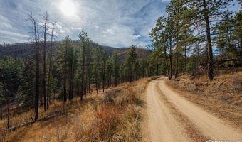 0 Cougar Cir Ct, Bellvue, CO 80512