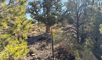 1037 S Canyon Dr, Cedar City, UT 84720
