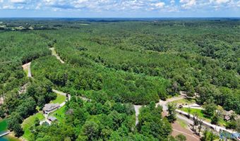 Arley Lndg, Arley, AL 35541