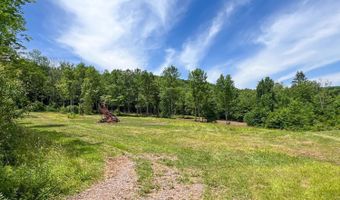 0 Woodland Hills Rd, Andes, NY 13731