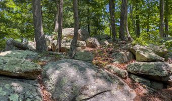 151 Stoneybrook Rd, Amherst, VA 24521