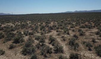 4 83 Acres Maple St, Elko, NV 89801