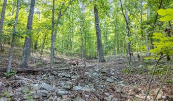 889 County Road 101, Alton, MO 65606