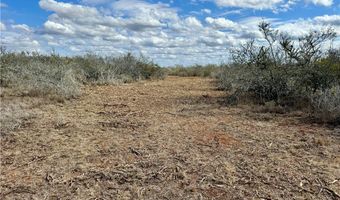 332 CR 171, Alice, TX 78332