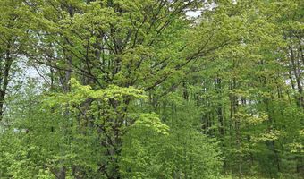 9718 NE FOREST LANE Dr, Alden, MI 49612