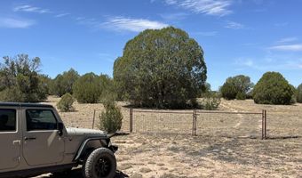 21 Off Of Cooks Trl, Ash Fork, AZ 86320