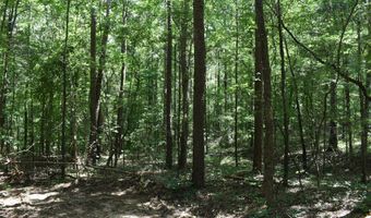 6 Gray Academy Rd Lot 6, Ashland, MS 38603