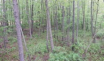 15252 27 Mile Rd, Albion, MI 49224