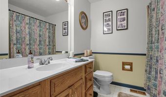 428 Melanie Meadows Ln, Ballwin, MO 63021
