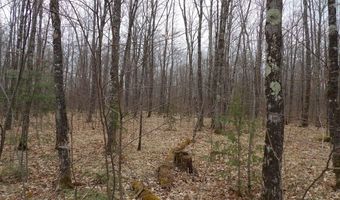 Off WRIGHT RD 40+/- Acre, Winter, WI 54896