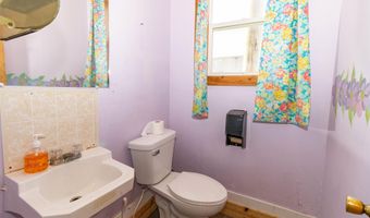 117 Steer St, Addison, MI 49220