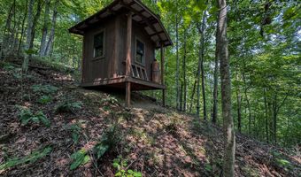 50 Hg Williams Dr, Bays, KY 41310
