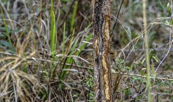 2116 Highway 84 E, Brookhaven, MS 39601