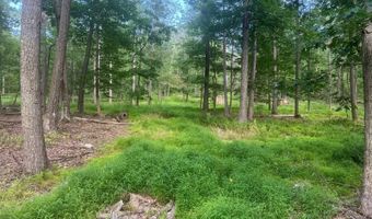 242 Brush Mountain Rd, Altoona, PA 16601