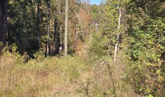 7501 Rainey Morris Rd, Appling, GA 30802