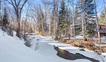 990 E Hopkins Ave, Aspen, CO 81611