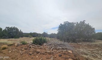 Tbd CR 8065, Concho, AZ 85924