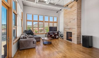231 Robinson St 312, Basalt, CO 81621