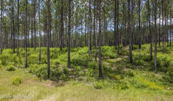 193 Rampart Loop, Alexander City, AL 35010