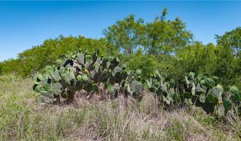 TR 4 Fm 735, Alice, TX 78332