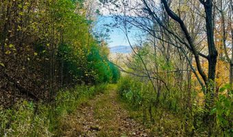 595 Rock Creek Ridge Rd, Bakersville, NC 28705