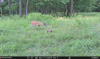 1271 A Tunnel Ridge Rd, Argillite, KY 41121