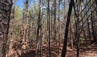 12 68 Acre 99 Rd, Blair, SC 29015