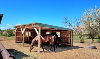 10341 Tongue Creek Rd, Austin, CO 81410