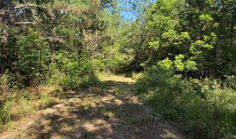 64 47 Ac Old Faceville Rd, Bainbridge, GA 39819