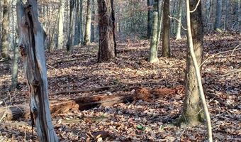 BLACKJACK ROAD lot 0, Argo, AL 35173