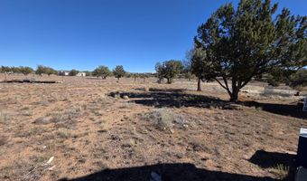 1505 W Bernadine S Way, Ash Fork, AZ 86320