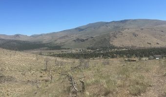 930 Cavelti Rd, Gardnerville, NV 89410