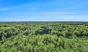 15252 27 Mile Rd, Albion, MI 49224