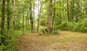 5451 Wire Rd, Branchville, SC 29432