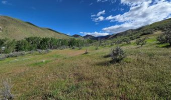 NKN E Tower Creek Road, Carmen, ID 83462