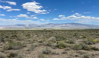 510 GILLUM Ln, Dyer, NV 89010