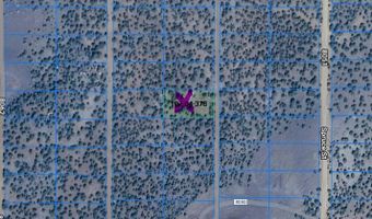 Tbd CR 8115, Concho, AZ 85924