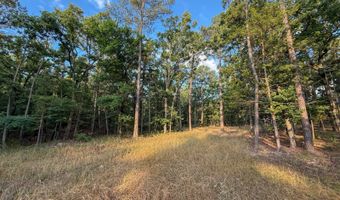 Old Moyers Road, Antlers, OK 74523