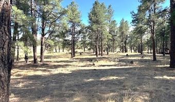 6 County Rd N2127, Alpine, AZ 85920