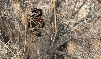 1980 Millard Fillmore Ave, Battle Mountain, NV 89820