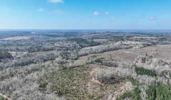 919 County Road 6628, Banks, AL 36005