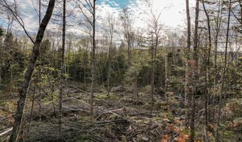 Lot 39 Sawyer Brook Road, Andover, ME 04216