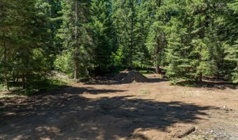 1251 CANYON Rd, Appleton, WA 98602