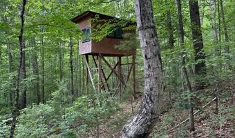 Fritz Run Rd, Ballard, WV 24918