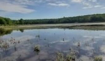 74 Blue Pond Trl, Hopkinton, RI 02832