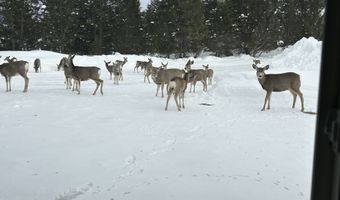 700 Stonegate Dr, Afton, WY 83110