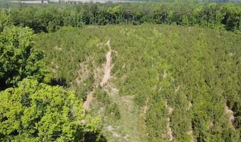 Attadale Rd lot 3, Blenheim, SC 29516