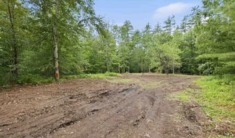 Dane Road lot 29, Center Harbor, NH 03226